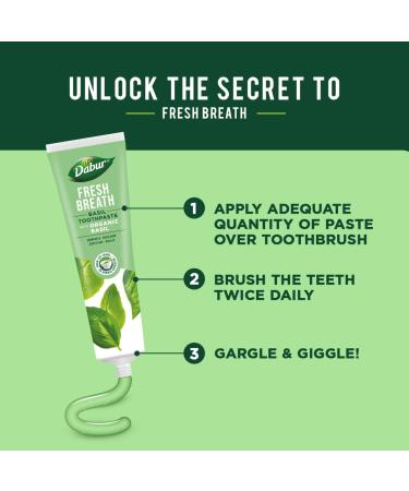  Dabur Dabur Organic Basil Toothpaste for Fresh Breath 100ml - Natural Oral Care with Organic Basil Extracts - Refreshing Mint Flavour - Promotes Oral Health and Hygiene - Buy Online on GoSupps.com