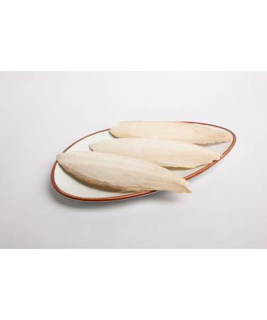 OGOC Cuttlebone (Kadal Nakku) | Natural Calcium Source for Birds | Set of 4 4 count (Pack of 1) - Buy Online on GoSupps.com