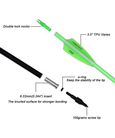 Pointdo 30 Carbon Arrow Fluorescent Green (12 Pack) - Targeting & Practice for Compound/Recurve Bow - Buy Online on GoSupps.com