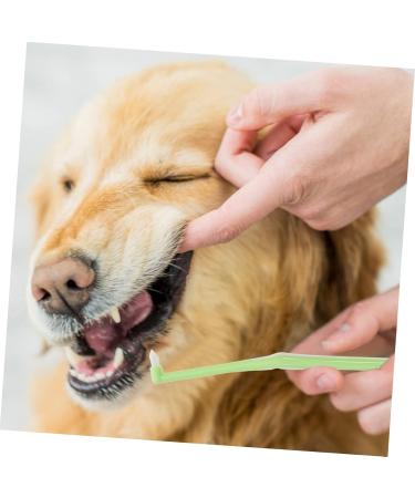 WOONEKY 1pc Pet Single Head Toothbrush Dog Toothpaste Cat Toothbrush Cleaning Kit Manual Plastic Care Brush - Buy Online on GoSupps.com