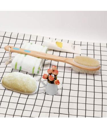 Ithyes Shower Brush - Soft & Stiff Bristles for Wet/Dry Use | Natural Wood Long Handle Body Brush | Double-Sided Luffa & Massage Your Skin - Buy Online on GoSupps.com