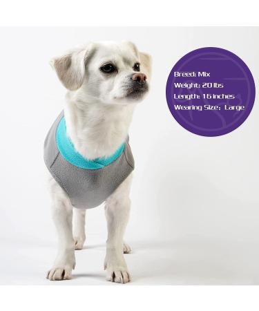 Cyeollo 2 Pack Fleece Dog Sweater Vest with Reflective Stripe - Teal & Grey - For Small, Medium, Large Dogs - Buy Online on GoSupps.com