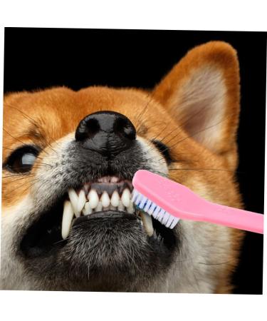 FRCOLOR 12pcs Teeth Supplies Cat Multi-function for Cats Dogs Tooth Small Double Household Handle - Buy Online on GoSupps.com