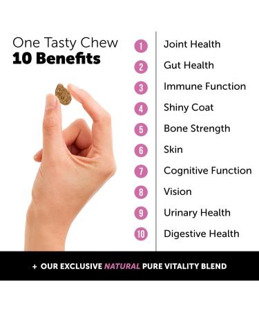 Pet Honesty 10 in 1 Dog Multivitamin - Glucosamine Essential Dog Supplements & Vitamins - Glucosamine Chondroitin Probiotics Omega Fish Oil - Dogs Health & Heart- Dog Health Supplies (Chicken) - Buy Online on GoSupps.com