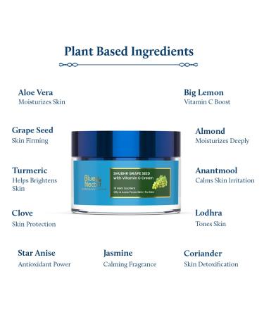 Blue Nectar Vitamin C Face Moisturizer for Oily & Acne Prone Skin | Oil-Free Non-Greasy Cream with Grapeseed | 19 Herbs for Men (1.76 fl oz) - International Shipping Available - Buy Online on GoSupps.com