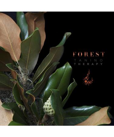 Lana Brasiles | Forest Tanino Smoothing Hair Treatment | All Hair Types | Smooth And Natural | 1000 ml / 33.8 fl.oz. - Buy Online on GoSupps.com