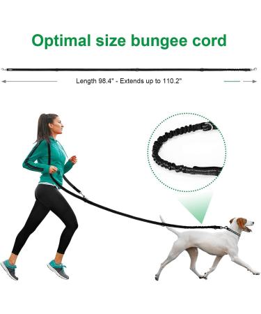 ETACCU Hands Free Dog Lead Waist Belt Leash with Reflective Stitching - Adjustable 9.8ft Double Lead for Running, Walking, Hiking - Black | Large Size 100lbs - Buy Online on GoSupps.com