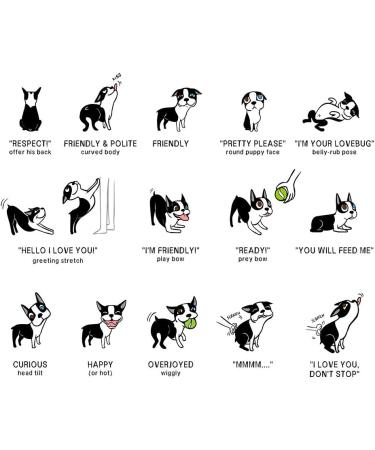 Professional Dog Whistles - Hongecb 2-Piece Stainless Steel Set | Adjustable Pitch Frequency Lock for Effective Dog Training - Buy Online on GoSupps.com