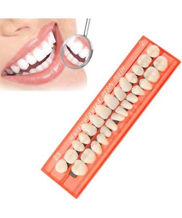 GDZTBS Resin False Teeth - 28pcs Synthetic Fake Teeth Model | Durable Temporary Dentures for International Shipping - Buy Online on GoSupps.com