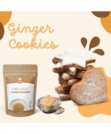Organic Ginger Powder - USDA Certified, Non-GMO, Gluten-Free - 16oz Resealable Pack - Raw Ground Ginger Root - 44 Servings - 100% Pure & Natural - Buy Online on GoSupps.com