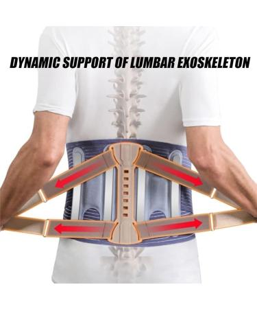Back Brace Lumbar Support Back Support Belt Corset Back Brace Belt Lumbar Spine Decompression Belt Waist Belt(Large) Large Blue - Buy Online on GoSupps.com