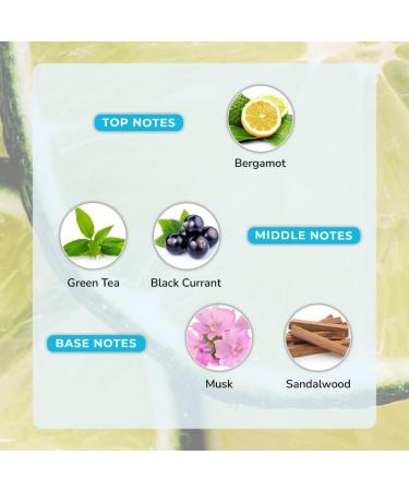 Moody Premium Aquatic Breeze Perfume for Men | Eau De Parfum | Long Lasting Scent Upto 8 Hours | Luxurious EDP Fragrance with 20% Perfume Oil 100ml - Buy Online on GoSupps.com