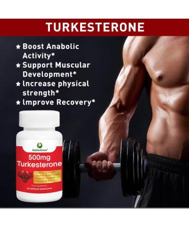 AlphaStateSciences Pure Ajuga Turkesterone 500mg - 60 Capsules, 10% Standardized Turkesterone - Buy Online on GoSupps.com