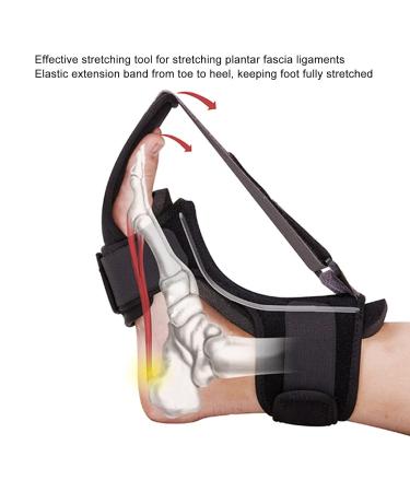 ANGGREK Night Splint Foot Brace - Premium Drop Foot Support & Heel Spur Corrector for Men & Women | Foot Stabilizer for Ankle Pain Relief (Large - Buy Online on GoSupps.com