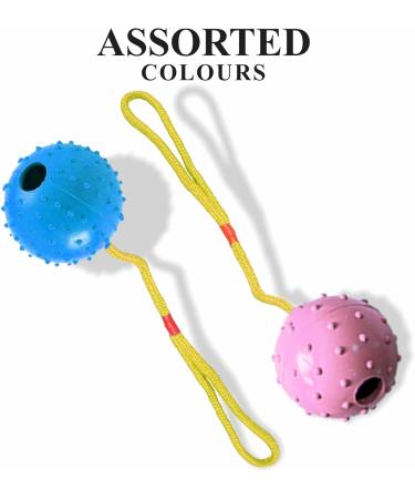 Ball On Rope Dog Toy Heavy Duty Pet Chew Rope Pimpled Ball Interactive Dog Pull & Tug Toy Studded Ball Tugger For All Dog Puppy Essentials Pet Accessories 40cm X 6.5cm Assorted Colours (Pack Of 1) - Buy Online on GoSupps.com