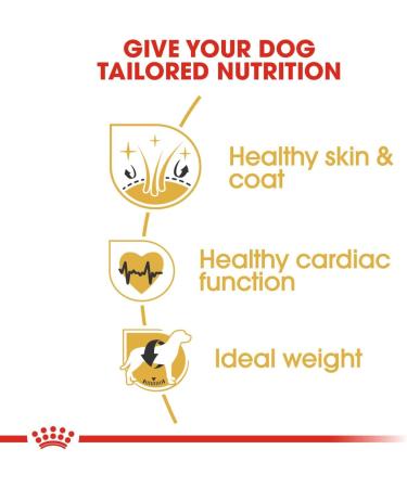Royal Canin - 35251 - Golden Retriever Food - 12 kg - Buy Online on GoSupps.com