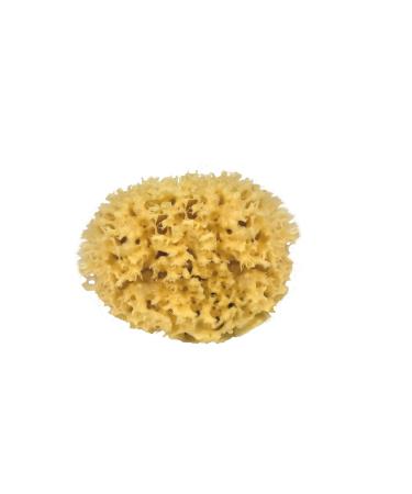 CROLL & DENECKE natural sponge natural approx. 15 cm - Buy Online on GoSupps.com