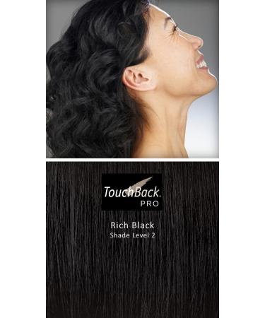 TouchBack PRO Gray Root Touch Up Marker Applicator - Real Hair Color Rich Black