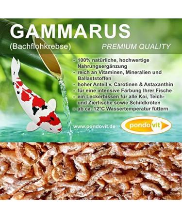 Pondovit Gammarus - Premium Freshwater Shrimp Koi Treats (1.2L) | High-Quality Snacks for Healthy Fish - Buy Online on GoSupps.com