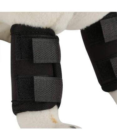 Dog Knee Pads 1 Pair Dog Knee Pads Pet Knee Brace Surgical Wound Protector for Body Injuries(S) - Buy Online on GoSupps.com