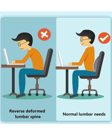 Back Extensor & Neck Extension 2-in-1 Device | Multi-Level Vertebral Board for Pain Relief | Blue - Shop Now! - Buy Online on GoSupps.com