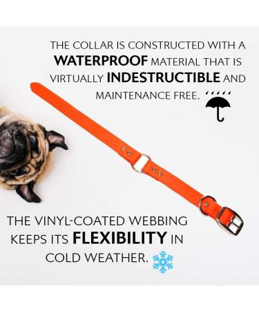 Regal Dog Products Waterproof Dog Collar & Leash Set (1.5m) - Perfect for Small Medium & Large Dogs - Durable Orange Design - Buy Online on GoSupps.com