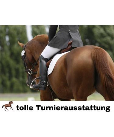 Harry's Horse Ladies Plastron Sparkle - Dark Blue Dressage Riding Accessory | International Shipping Available - Buy Online on GoSupps.com