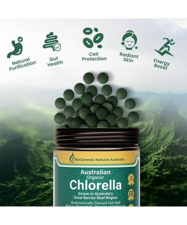 Biogenesis Total Wellness Green Stack: Spirulina Mini Tablets (1000 Count 200mg) & Chlorella Tablets (300 Count 500mg) Plant-Based Energy Immunity & Detox Support Vegan Non-GMO 2 Pack Kit - Buy Online on GoSupps.com
