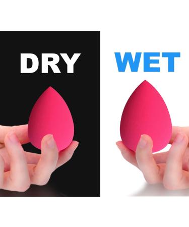 Beauty Sponge Makeup Blender - Latex Free Sponges for Flawless Application | International Shipping Available - Buy Online on GoSupps.com