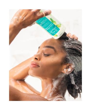 Carol's Daughter Wash Day Delight Sulfate Free Shampoo & Conditioner Gift Set - Curly, Natural, and Textured Hair Care with Aloe and Micellar Technology - Buy Online on GoSupps.com