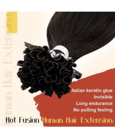 Buy Brown Bonding Hair Extensions - Real Remy Keratin Fusion #2 Darkest Brown 35cm 50g | International Shipping - Buy Online on GoSupps.com