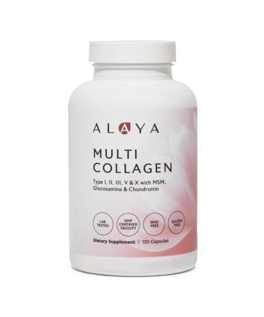 Alaya Naturals Hydrolyzed Multi Collagen Peptides Protein Capsules - Type I, II, III, V, X Grass-Fed Bovine, Chicken, Marine Collagen Supplement with MSM + GC (Capsules - 120 Count)