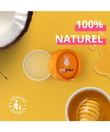 PROPOLIA - Honey Lip Balm - Repairs and nourishes dry and damaged lips - Honey Beeswax and Shea - 100% natural - Made in France - 6 g jar - Buy Online on GoSupps.com