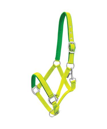 York horse halter Milo nylon halter soft padding stable halter pasture halter noseband (Cob lime yellow) Cob lime yellow