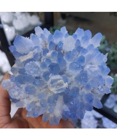 Natural Crystal Rough Home Decoration 1pcs 300-700g Rare Beautiful Blue Ghost Phantom Quartz Crystal Cluster Specimen Stones (Size : 400-500g) - Buy Online on GoSupps.com