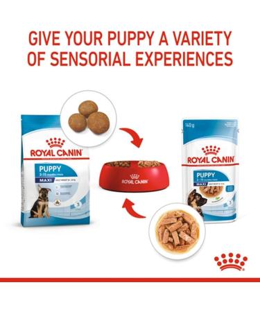Royal Canin Maxi Puppy in Gravy Wet Food (10 x 140g Pouches) - Buy Online on GoSupps.com