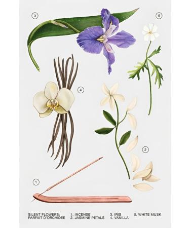 Zara Jo Malone Silent Flowers Parfait d'Orchidee Perfume for Women Parfum 100 ML (3.4 FL OZ) - Buy Online on GoSupps.com