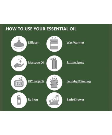 Pine Needle Essential Oil 1oz (30ml) -100% Natural and Pure Premium Quality Therapeutic Grade Essential Oil for Aromatherapy-Crisp Refreshing and Uplifting Pine Needle 1 Fl Oz (Pack of 1) - Buy Online on GoSupps.com