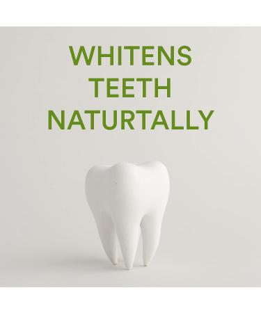 Buy Xyloburst Fluoride-Free Xylitol Toothpaste - Cool Mint SLS-Free & Cruelty-Free 4 oz - Made in USA - Buy Online on GoSupps.com