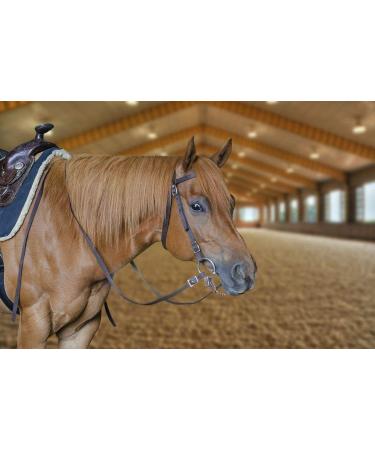 Tahoe Tack Double Layer Nylon Headstall with Reins - Pink Full Size - Buy Online on GoSupps.com