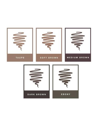 Anastasia Beverly Hills Laminated Look Brow Kit in Dark Brown - Get Defined and Polished Brows - Buy Online on GoSupps.com