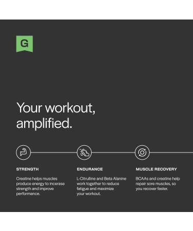 Gainful Caffeine-Free Pre Workout Powder - Watermelon Flavor 14 Servings | Creatine L-Citrulline Beta Alanine & BCAAs for Energy & Muscle Support - International Shipping Available - Buy Online on GoSupps.com