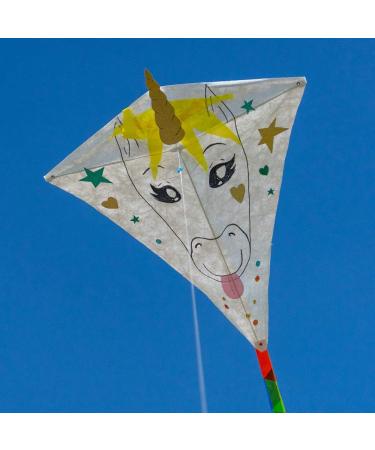 Cim Dragon Kits - 3-Piece Craft Kites Set | Handicraft Dragon Kites with 60x66cm Sail & 20m Cord | Perfect for DIY Tinkering - Buy Online on GoSupps.com
