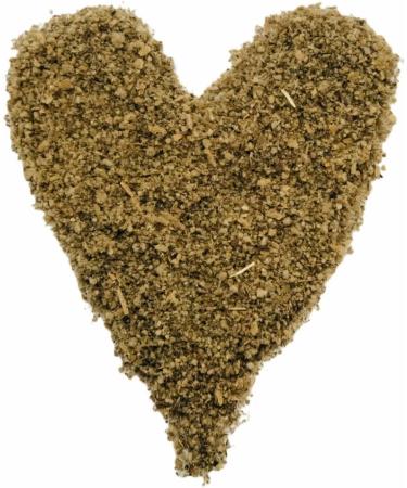 Mullein Leaf Tea - Herbal Respiratory Support | 1LB Dried Leaves Blend | Lung Cleanse & Detox | USA-Made - 16 Ounce - Buy Online on GoSupps.com