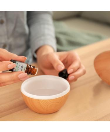 Buy Island Gateway Pure Aromatherapy Essential Oil Set (6-Piece) | Premium Essential Oils for Relaxation & Wellness | International Shipping Available - Buy Online on GoSupps.com