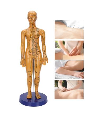 Acupuncture Model - Copper Female & Male Meridian Points for Chinese Medicine & Massage Crafts - Buy Online on GoSupps.com