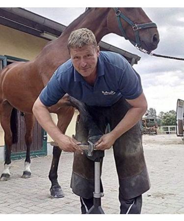 HOOF -IT Blacksmith Hufbock - Blue | Premium Quality Hoof Support | International Shipping - Buy Online on GoSupps.com