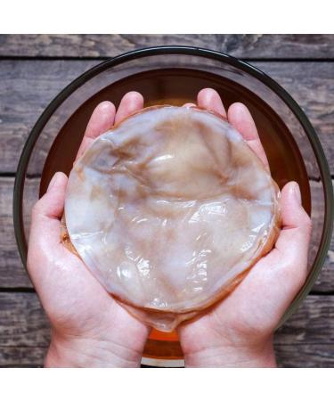Organic Kombucha SCOBY (5L) - Get Your Home Brewing Started Today! - Buy Online on GoSupps.com