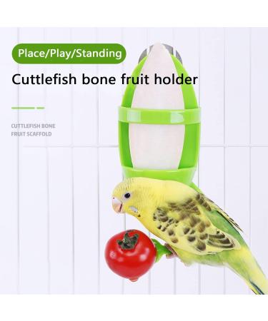 Cuttlebone 2 Pack Large Cuttlefish Bone with Holder for Birds Cockatiels Parakeet Turtles Tortoise Snails (Color AB) green - Buy Online on GoSupps.com