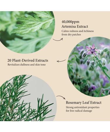 Buy Original Artemisia Bubble Facial Foam 200g - Hydrating Cleansing Foam for All Skin Types - Buy Online on GoSupps.com